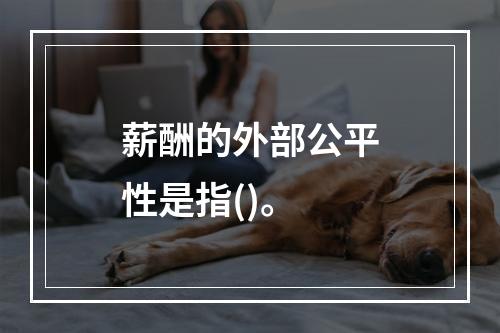 薪酬的外部公平性是指()。