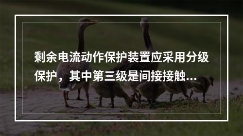 剩余电流动作保护装置应采用分级保护，其中第三级是间接接触电击