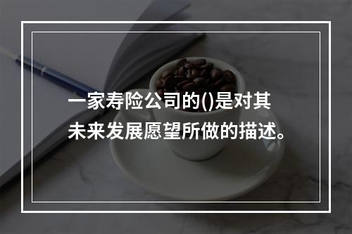 一家寿险公司的()是对其未来发展愿望所做的描述。