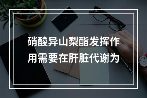 硝酸异山梨酯发挥作用需要在肝脏代谢为