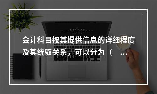 会计科目按其提供信息的详细程度及其统驭关系，可以分为（　　）