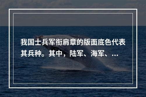 我国士兵军衔肩章的版面底色代表其兵种。其中，陆军、海军、空军