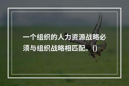 一个组织的人力资源战略必须与组织战略相匹配。()