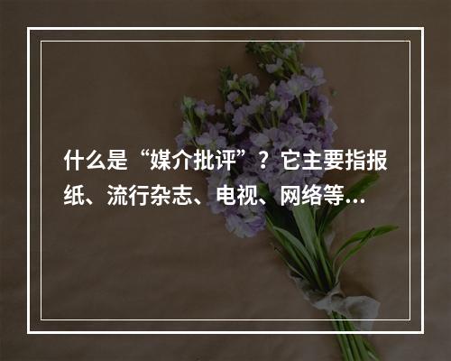 什么是“媒介批评”？它主要指报纸、流行杂志、电视、网络等现代