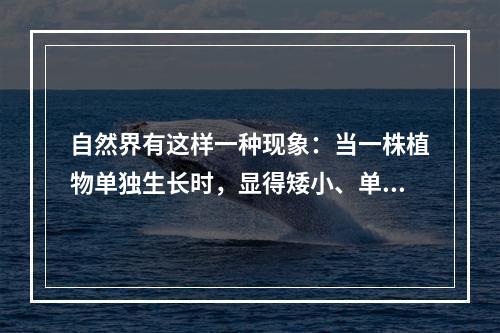 自然界有这样一种现象：当一株植物单独生长时，显得矮小、单调，