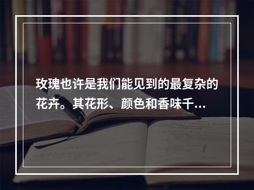 玫瑰也许是我们能见到的最复杂的花卉。其花形、颜色和香味千变万