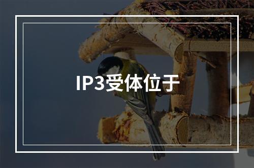 IP3受体位于