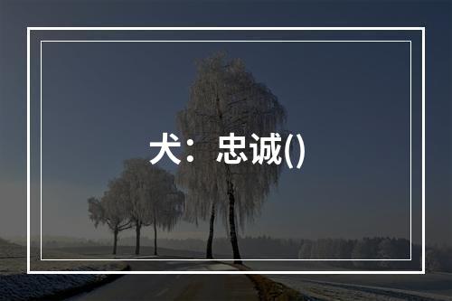 犬：忠诚()