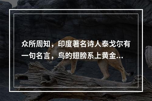 众所周知，印度著名诗人泰戈尔有一句名言，鸟的翅膀系上黄金，就