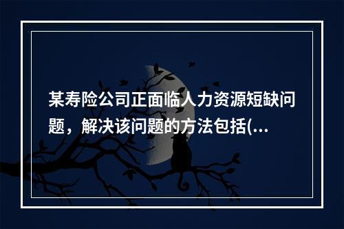 某寿险公司正面临人力资源短缺问题，解决该问题的方法包括()：