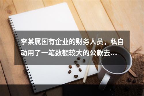 李某属国有企业的财务人员，私自动用了一笔数额较大的公款去炒股