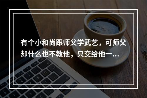 有个小和尚跟师父学武艺，可师父却什么也不教他，只交给他一群小