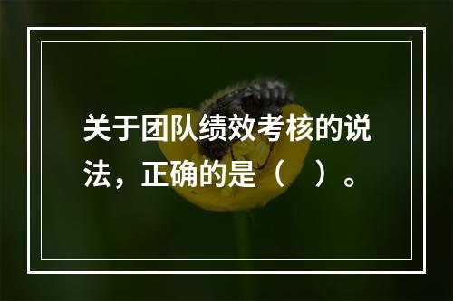 关于团队绩效考核的说法，正确的是（　）。