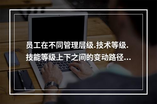 员工在不同管理层级.技术等级.技能等级上下之间的变动路径称