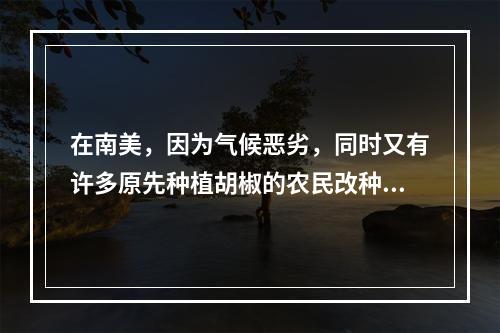 在南美，因为气候恶劣，同时又有许多原先种植胡椒的农民改种价值