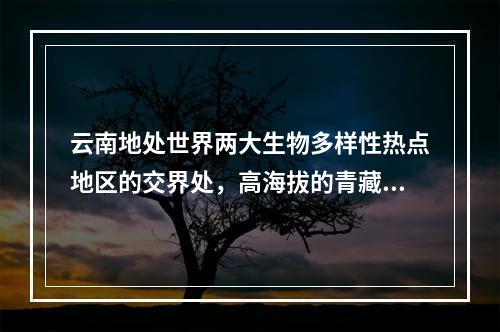 云南地处世界两大生物多样性热点地区的交界处，高海拔的青藏高原