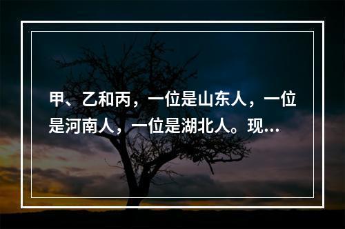 甲、乙和丙，一位是山东人，一位是河南人，一位是湖北人。现在只