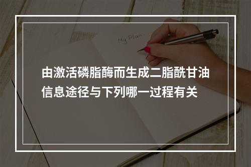 由激活磷脂酶而生成二脂酰甘油信息途径与下列哪一过程有关