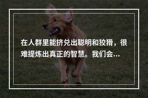 在人群里能挤兑出聪明和狡猾，很难提炼出真正的智慧。我们会发现