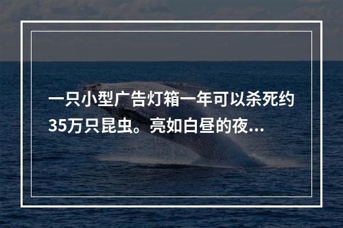 一只小型广告灯箱一年可以杀死约35万只昆虫。亮如白昼的夜晚还