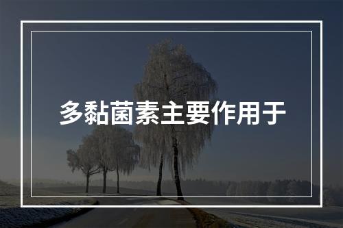 多黏菌素主要作用于