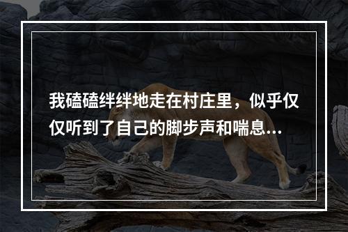 我磕磕绊绊地走在村庄里，似乎仅仅听到了自己的脚步声和喘息。两