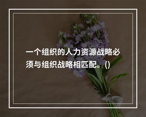 一个组织的人力资源战略必须与组织战略相匹配。()