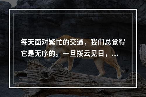 每天面对繁忙的交通，我们总觉得它是无序的。一旦拨云见日，会发