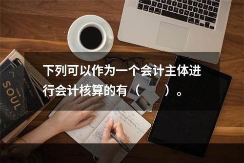 下列可以作为一个会计主体进行会计核算的有（  ）。