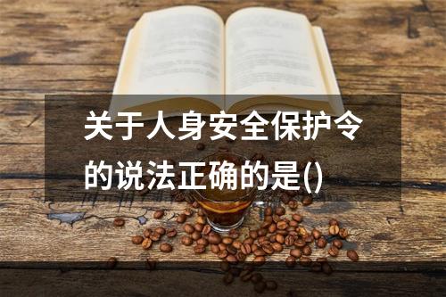 关于人身安全保护令的说法正确的是()