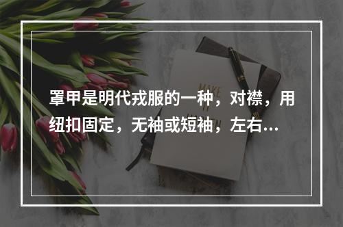 罩甲是明代戎服的一种，对襟，用纽扣固定，无袖或短袖，左右两侧