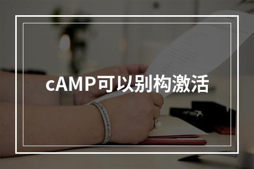 cAMP可以别构激活