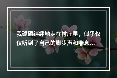 我磕磕绊绊地走在村庄里，似乎仅仅听到了自己的脚步声和喘息。两