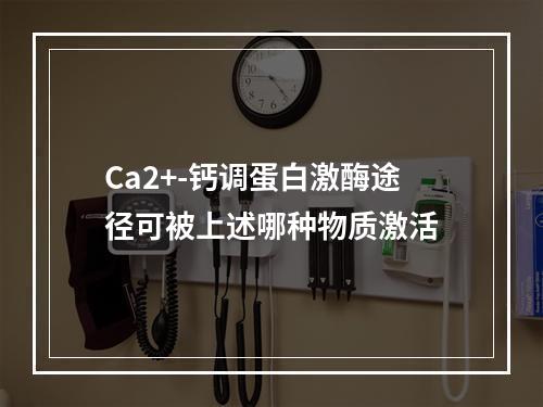 Ca2+-钙调蛋白激酶途径可被上述哪种物质激活