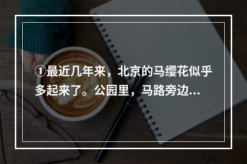 ①最近几年来，北京的马缨花似乎多起来了。公园里，马路旁边，都