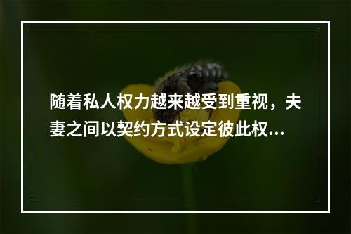 随着私人权力越来越受到重视，夫妻之间以契约方式设定彼此权利义