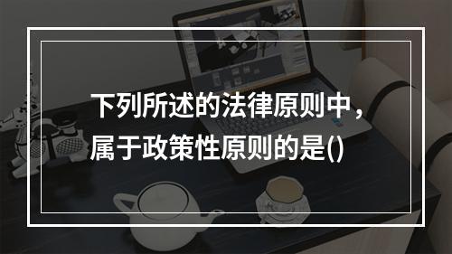 下列所述的法律原则中，属于政策性原则的是()