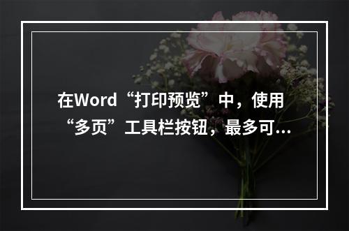 在Word“打印预览”中，使用“多页”工具栏按钮，最多可显示