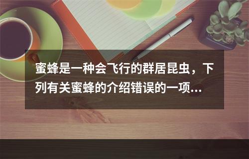 蜜蜂是一种会飞行的群居昆虫，下列有关蜜蜂的介绍错误的一项是(