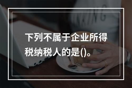 下列不属于企业所得税纳税人的是()。