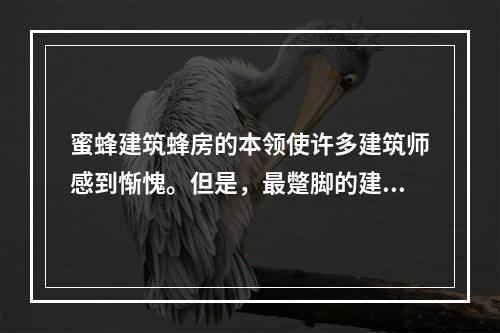 蜜蜂建筑蜂房的本领使许多建筑师感到惭愧。但是，最蹩脚的建筑师