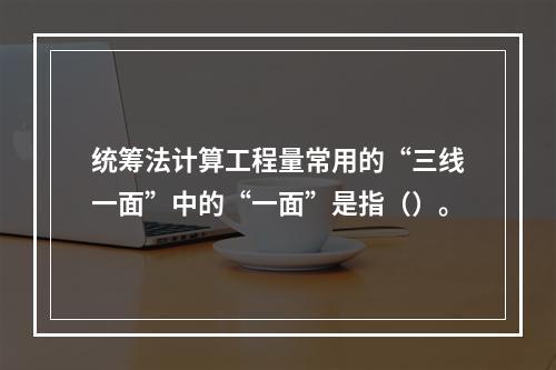 统筹法计算工程量常用的“三线一面”中的“一面”是指（）。