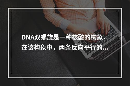 DNA双螺旋是一种核酸的构象，在该构象中，两条反向平行的多核