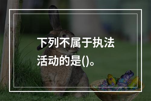 下列不属于执法活动的是()。