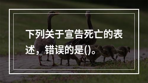 下列关于宣告死亡的表述，错误的是()。