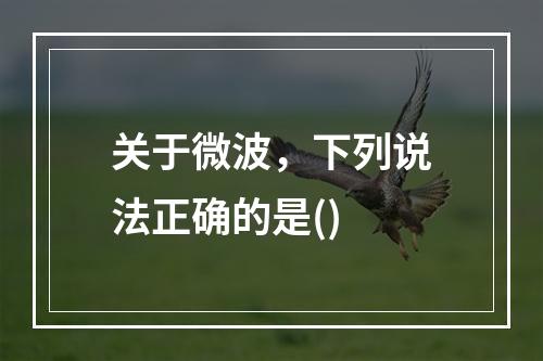 关于微波，下列说法正确的是()