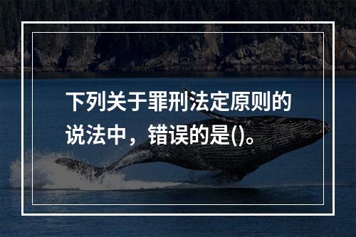 下列关于罪刑法定原则的说法中，错误的是()。