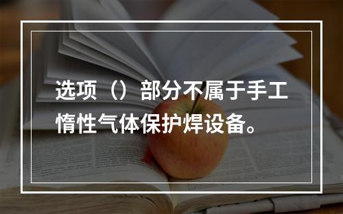 选项（）部分不属于手工惰性气体保护焊设备。