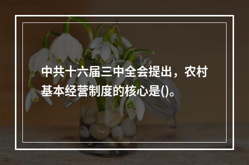 中共十六届三中全会提出，农村基本经营制度的核心是()。