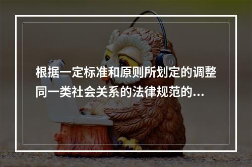 根据一定标准和原则所划定的调整同一类社会关系的法律规范的总和